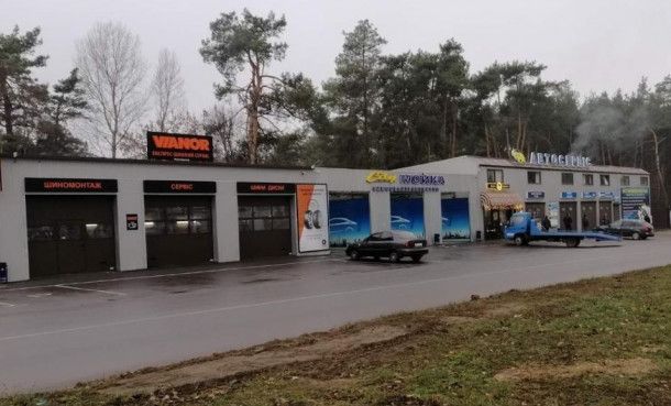 Светлая / ремонт авто / автоэлектрик