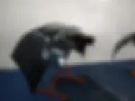 Навигатор Авто Групп