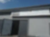 Igor