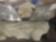 PullsAuto Відновлення прозорості фар PullsAuto Відновлення прозорості фар