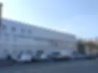 Види Пальмира Автоцентр