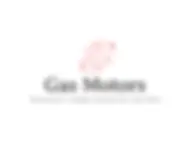 Gas Motors