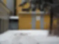 Первая лица