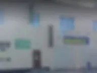 Мойка у Сани