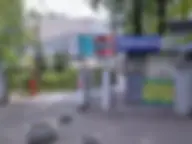 Grass