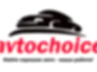 Avtochoice