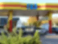 RODNIK Гагарина